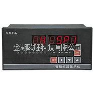 XMDA-6000智能巡回顯示調節器